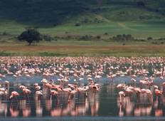 4 Days / 3 Night Safari to Tarangire, Serengeti & Ngorongoro Crater (home of the wilderness) Tour