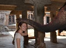 South India: Elephants, tea plantations, cities and the sea Tour