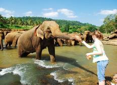 Dag tour Kandy-rondreis