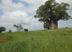 4 Days Rift Valley Wildlife Safari - Small Group Tour