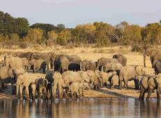 Best of Simbabwe Experience 6 Tage 5 Nächte (Comfort Plus) Rundreise