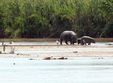 Burundian Adventure Safari 7D /6 N (Comfort Plus) Tour