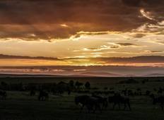 3 Tage in Masai Mara über das Great Rift Valley (Comfort Plus) Rundreise
