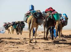 6-daagse Camel Desert Trekking vanuit Marrakech-rondreis