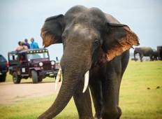 sri lanka multi-day tours 5 days with private driver, vehicle and H/B accommodations Tour