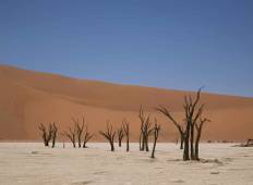 Privatrundreise zum Sossusvlei - Namibia Wüste (3 Tage) Rundreise