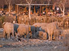 Privatrundreise zum Etosha-Nationalpark (3 Tage) Rundreise