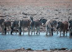 East Africa Safari & Coast Tour