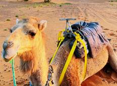 Privat geführte Wüsten Rundreise von Marrakesch nach Merzouga Rundreise