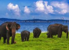 Sri Lanka in Express - Free upgrade to a private tour Tour