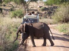 4 Day Taste of Tanzania Budget safari Tour