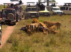 Tansania: Serengeti Safari - 4 Tage Rundreise