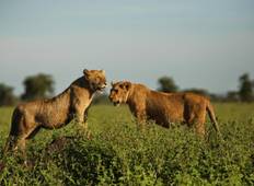 3 Days Safari in Serengeti and Ngorongoro Tour