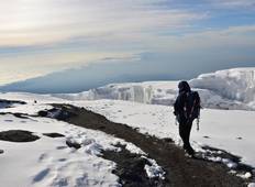 Mount Kilimanjaro Trekking – Lemosho Route – 7 Days Tour