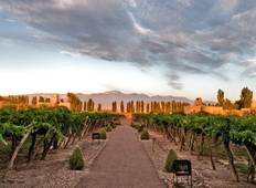 Argentinian Wines of the Andes: Buenos Aires, Salta & Mendoza or Viceversa - 10 days Tour