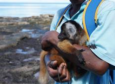 Klassische Madagaskar Rundreise - 10 Tage, 9 Nächte Rundreise
