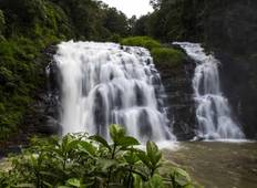 Coorg - Ooty Special Holiday Tour