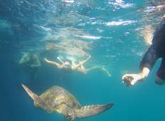 7 dagen Galapagos Eiland Hoppen-rondreis
