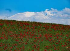 Rundreise Heimat der Tulpen (4 Tage) Rundreise