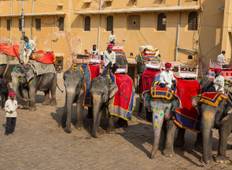 Nordindien Kulturreise - 12 Tage Rundreise