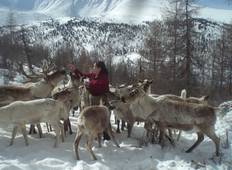 De Tsaatan Rendierherders in de sneeuw 2023-rondreis