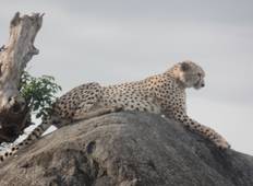 14- Day Tanzania . Culture and Sightseeing Tour