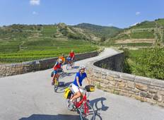 Danube Cycle Path with Charm Tour