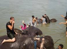 Chitwan Jungle Safari, Safari Tour in Nepal-rondreis