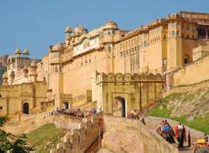 India Tijger Tour met Taj Mahal-rondreis