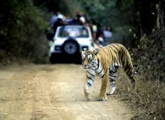 Luxury Golden Triangle with Ranthambore Tour Tour