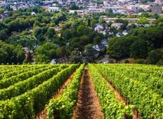 Wines of the Moselle Cruise Tour