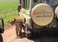 4 DAYS TANZANIA CAMPING SAFARI Tour