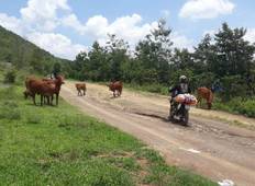 BEST VIETNAM MOTORCYCLE TOUR DEEP INTO MEKONG DELTA Tour
