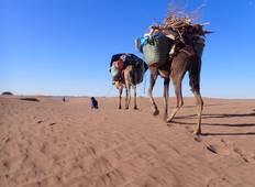 Trekking Tour durch die Wüste Rundreise