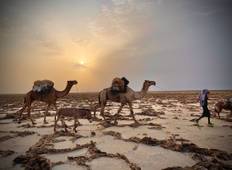 03 Day group tour, Danakil Depression, Dalol, Erta ale Volcano Tour