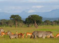 3 Days 2 Nights Ruaha Wildlife Safari Tour