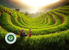 Mystieke Vietnam-vakantie in 13 dagen door Realistisch Azië-rondreis