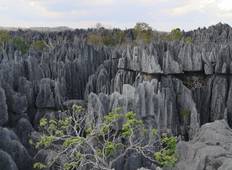Details von Madagaskar (Komfort) - 15 Tage Rundreise