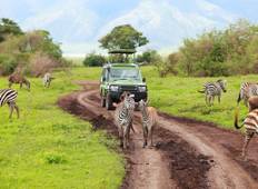 8-Day Safari (Including Serengeti) & Zanzibar Extension Tour