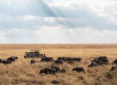 Tansania - Reise der Gnus (Mittelklasse) - 7 Tage - safari Rundreise