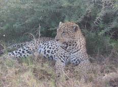 Best of Kenya -7-Day Kenya Lodge Safari Tour
