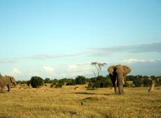 Kenianische Nationalparks Safari - 9 Tage (9 Destinationen) Rundreise