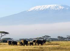 Mt. Kilimanjaro Trek (Lemosho Route) & Safari (Lake Manyara And Ngorongoro), 9 Days Tour