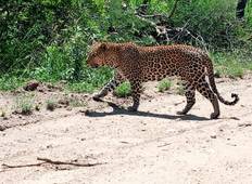 Kruger Nationalpark über die Panorama-Route - Low Budget Rundreise - 4 Tage Rundreise