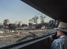 Erlebnisreise auf dem Elefantenpfad in Botswana (10 Tage) Rundreise