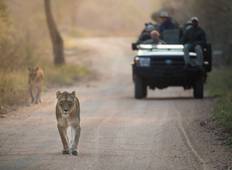 3 days Dinokeng Nature Reserve Private Safaris & Johannesburg Cultural Tour Tour