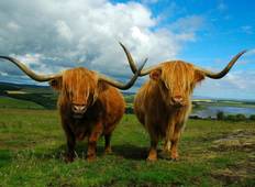 Kostprobe Schottland & Irland (11 Tage/10 Nächte) (15 destinations) Rundreise
