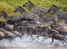 Masai Mara Flugsafari (mit Keekorok Lodges) Rundreise