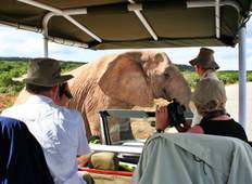 3-Day Kruger National Park Big 5 Tented Safari Tour