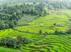 Northern Thai Highlights (8 Days) Tour